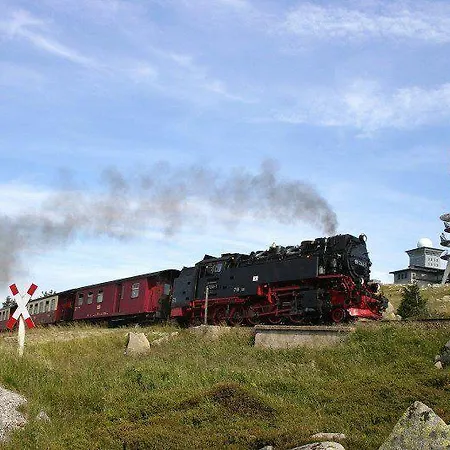 Дом отдыха Modernes-Ferienhaus-Im-Harz-Naehe-Wernigerode