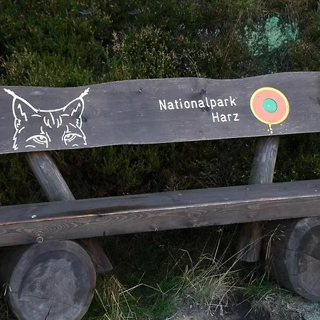 Modernes-Ferienhaus-Im-Harz-Naehe-Wernigerode *