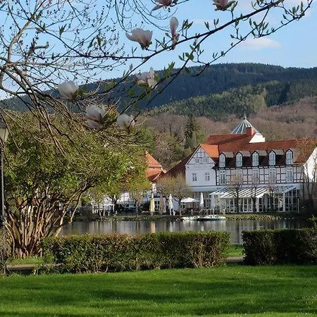 Modernes-Ferienhaus-Im-Harz-Naehe-Wernigerode