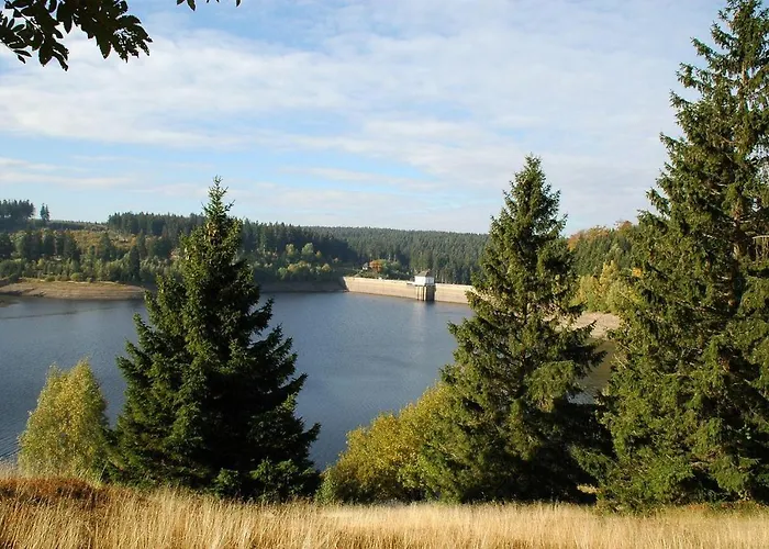 Modernes-Ferienhaus-Im-Harz-Naehe-Wernigerode Дом отдыха Ильзенбург