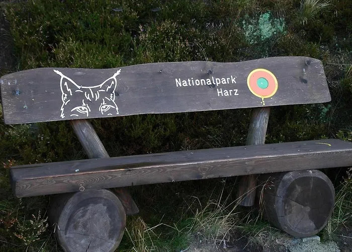 Modernes-Ferienhaus-Im-Harz-Naehe-Wernigerode *