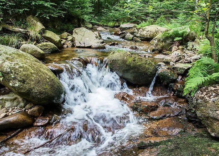 Modernes-Ferienhaus-Im-Harz-Naehe-Wernigerode Дом отдыха