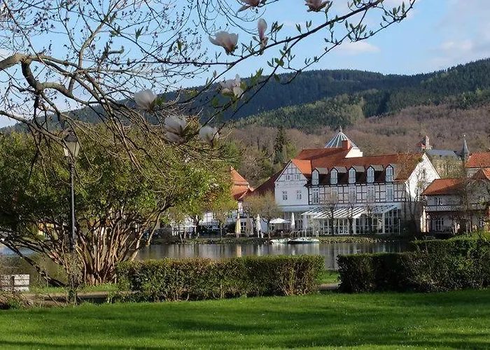 Modernes-Ferienhaus-Im-Harz-Naehe-Wernigerode